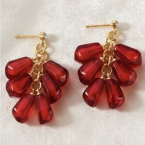 Exquisite Red Pomegranate Dangle Earrings – Multi-Layer Tassel Chain Design